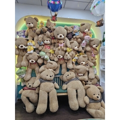 Gấu bông teddy xù mì áo len