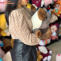 Gấu bông rái cá mỏ vịt