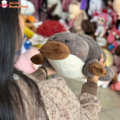 Gấu bông rái cá mỏ vịt