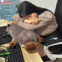 Gấu bông rái cá mỏ vịt