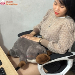 Gấu bông rái cá mỏ vịt