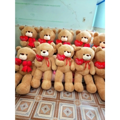 Gấu bông teddy xù  ôm trái tim đỏ một bên