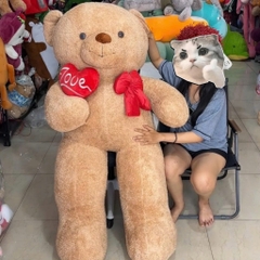 Gấu bông teddy xù  ôm trái tim đỏ một bên