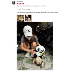 Gấu Bông Gấu Trúc Trong Ống Tre