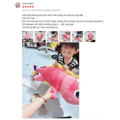 Gấu Bông Khủng Long Đuôi Tim, Tắc Kè