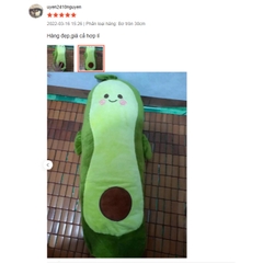 Gấu Bông Trái Bơ