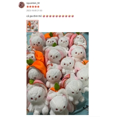 Gấu Bông Thỏ Trong Quả Thỏ Trái Cây