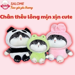 Gấu bông mèo hoàng thượng nón thú ngồi