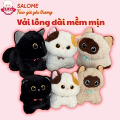 Gấu bông mèo đen, mèo tam thể, mèo xiêm