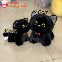 Gấu bông mèo đen, mèo tam thể, mèo xiêm