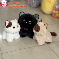 Gấu bông mèo đen, mèo tam thể, mèo xiêm