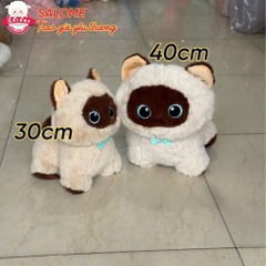 Gấu bông mèo đen, mèo tam thể, mèo xiêm
