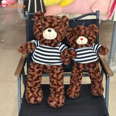 Gấu bông teddy xù mì áo thun, teddy mini nhỏ cho bé