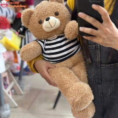 Gấu bông teddy xù mì áo thun, teddy mini nhỏ cho bé