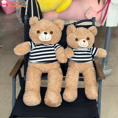 Gấu bông teddy xù mì áo thun, teddy mini nhỏ cho bé