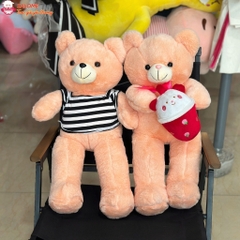 Gấu bông teddy xù mì áo thun, teddy mini nhỏ cho bé