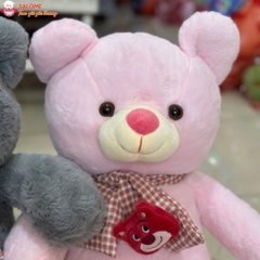 Gấu bông teddy quàng khăn
