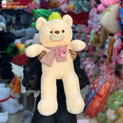 Gấu bông teddy quàng khăn