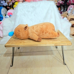 Gấu Bông Capybara Nằm Chảy Nước Mũi