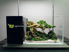 Layout Bonsai Cổ Thụ Đại Ngàn (CHƯA KÈM BỂ MINI STREAM)