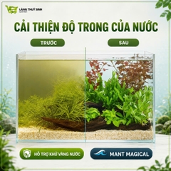 Purigen Magical Hỗ Trợ Làm Trong, Khử Vàng Nước, Hấp Thụ Kim Loại Nặng