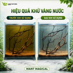 Purigen Magical Hỗ Trợ Làm Trong, Khử Vàng Nước, Hấp Thụ Kim Loại Nặng