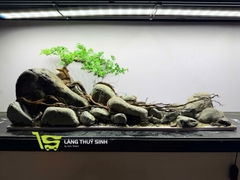 Layout Cần Thăng Vươn Đá (CHƯA KÈM BỂ MINI STREAM)