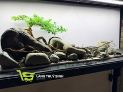 Layout Cần Thăng Vươn Đá (CHƯA KÈM BỂ MINI STREAM)