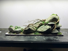 Layout Cần Thăng Vươn Đá (CHƯA KÈM BỂ MINI STREAM)