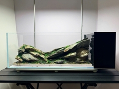 Layout Thung Lũng Đá (CHƯA KÈM BỂ MINI STREAM)