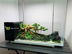 Layout Bonsai Cổ Thụ Đại Ngàn (CHƯA KÈM BỂ MINI STREAM)
