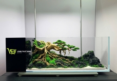 Layout Bonsai Cổ Thụ Đại Ngàn (CHƯA KÈM BỂ MINI STREAM)