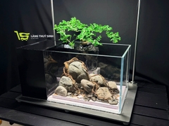 Layout Cần Thăng Vươn Đá (CHƯA KÈM BỂ MINI STREAM)