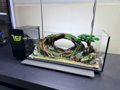Layout Bonsai Cổng Rừng Đại Ngàn (CHƯA KÈM BỂ MINI STREAM)