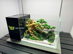 Layout Bonsai Cổ Thụ Đại Ngàn (CHƯA KÈM BỂ MINI STREAM)