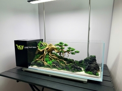 Layout Bonsai Cổ Thụ Đại Ngàn (CHƯA KÈM BỂ MINI STREAM)