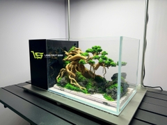 Layout Bonsai Cổ Thụ Đại Ngàn (CHƯA KÈM BỂ MINI STREAM)