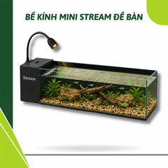Bể MINI STREAM lọc vách để bàn kính siêu trong cao cấp
