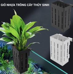 Giỏ Trồng Cây Thủy Sinh