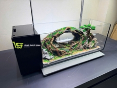 Layout Bonsai Cổng Rừng Đại Ngàn (CHƯA KÈM BỂ MINI STREAM)