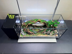 Layout Bonsai Cổng Rừng Đại Ngàn (CHƯA KÈM BỂ MINI STREAM)