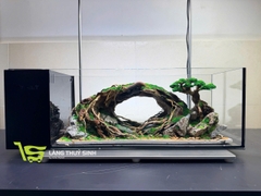 Layout Bonsai Cổng Rừng Đại Ngàn (CHƯA KÈM BỂ MINI STREAM)