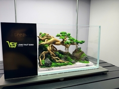 Layout Bonsai Cổ Thụ Đại Ngàn (CHƯA KÈM BỂ MINI STREAM)