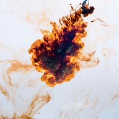 Dung dịch BLACKWATER EXTRACT