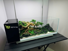 Layout Bonsai Cổ Thụ Đại Ngàn (CHƯA KÈM BỂ MINI STREAM)