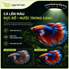 Đèn kẹp đĩa bay UFO RGB 5W cho bể mini