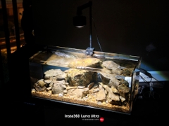 Layout Đá Hắc Sơn (CHƯA KÈM BỂ MINI STREAM)