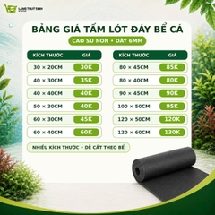 Tấm Lót Đáy Bể Cá