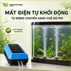 Máy Sủi Oxy tích điện máy khoẻ siêu êm Langzu LZ-668 | Sủi oxy tích điện cao cấp