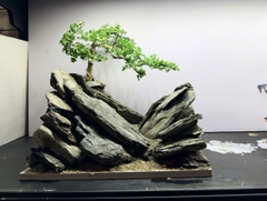 Layout Thung Lũng Đá (CHƯA KÈM BỂ MINI STREAM)